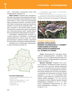 Красная книга Республики Беларусь. Растения. 5-е издание.